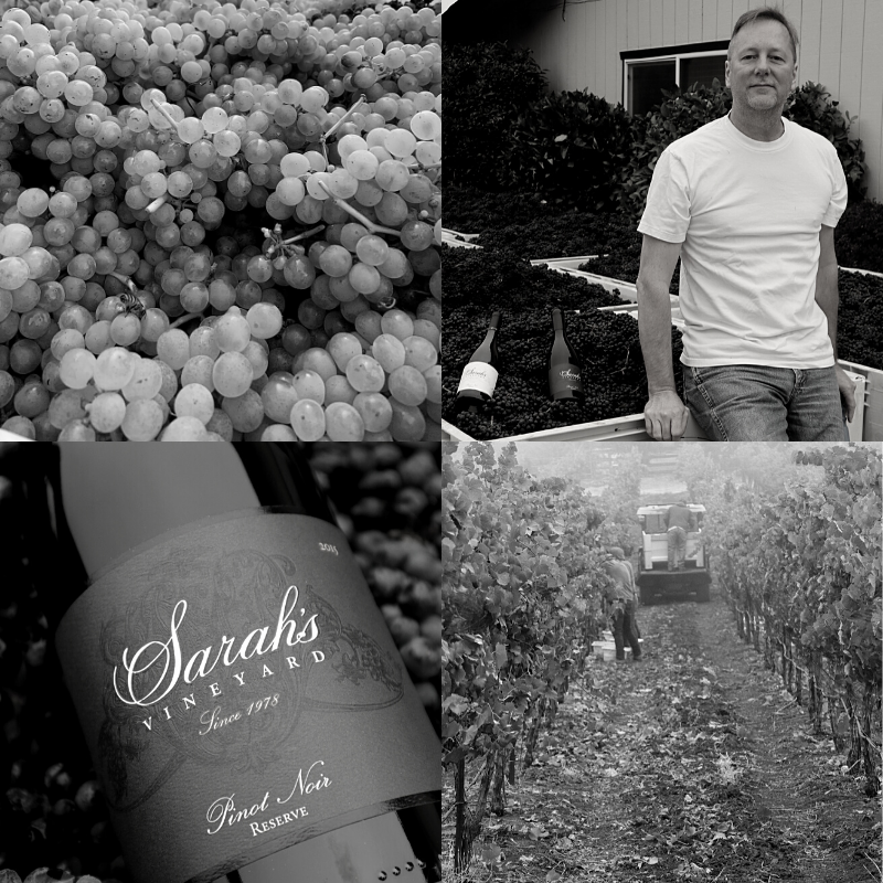 Grapes, Winemaker Tim, Harvesting the Vineyard